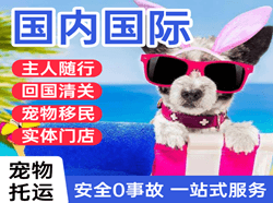 二连浩特赛乌素国际宠物托运 【国